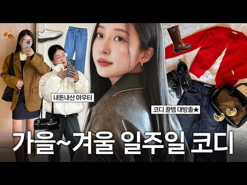 지금 입기 딱 좋은 일주일 OOTD 코디🧥🍂 가을 겨울 아우터 찐 데일리룩 (+ 뉴 아이템 패션하울📦)