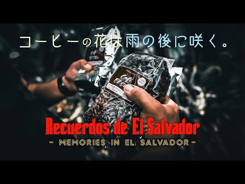 【公式】土屋圭市、El Salvador Coffee Documenetary Keiichi and the beauty of Salvadoran people.コーヒーの花は雨の後に咲く。