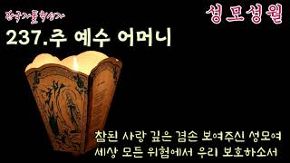 [성모성월] 가톨릭 성가 237번 '주 예수 어머니' / korean catholic hymns