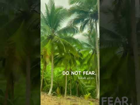 Isaiah 41:10 Do not fear