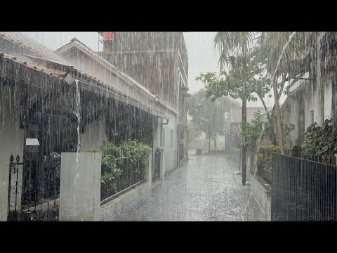 Heavy Rain in My Village | cool and calm, Eliminate insomnia and fall asleep to the sound of rain