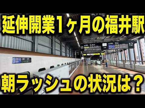 【乗る人いる？】延伸開業して1ヶ月後の北陸新幹線福井駅の平日朝ラッシュを見てきた