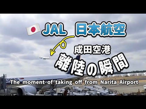 日本航空（JAL）成田空港離陸の瞬間🛫 The moment of taking off from Narita Airport