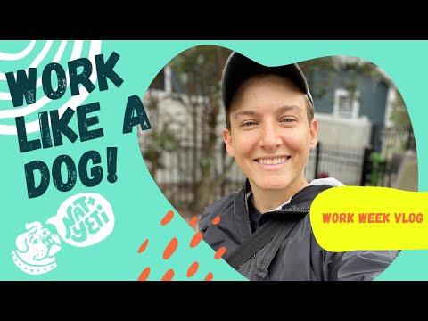 Work Vlog Week in My Life | Dog Sitting, Stickers, Food and Dirty Carpets!