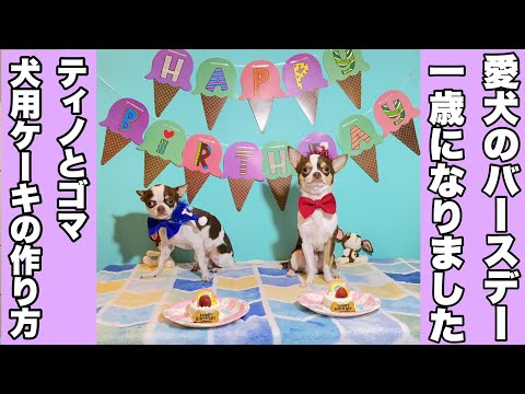 【バリ島暮らしVlog】愛犬の誕生日 犬用ケーキ&クッキーの作り方   How to make dog cakes & cookies