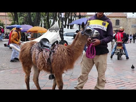 Day Trip to Bogotá, Colombia