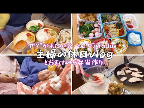 ヤツが来たので家族でゆっくりする休日vlog / お弁当作り🍱