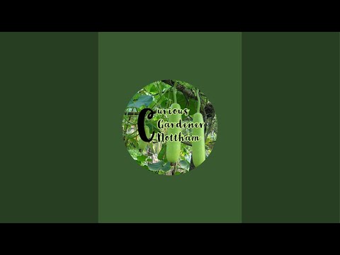 Curious Gardener Nottham & Vlogs is live