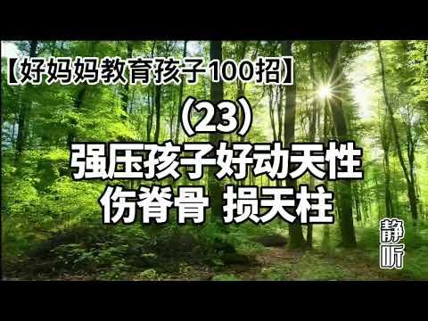 23.男孩子都是“淘气包”的原因｜好妈妈教育孩子100招【静听】