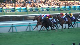 【有馬記念2024】現地レース映像 レガレイラ 64年ぶり3歳牝馬で有馬記念制覇！