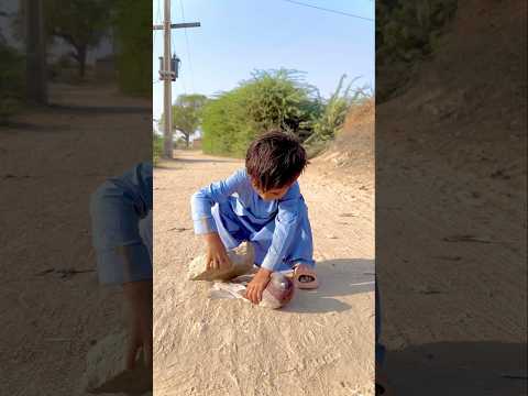 Bujbaan Kabootar ke sath asa na kiya karo 😭😘😍🕊️#shorts #youtubeshorts #shortvideo #birds