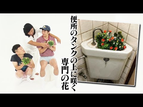 便所のタンクの上に咲く専門の花【ろばーとのうた】