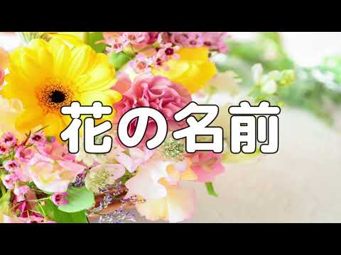 【合唱曲】花の名前 / 歌詞付き【124/200】