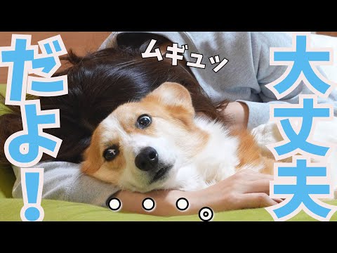 雷が鳴るので愛犬を抱きしめたら微妙な顔をされました