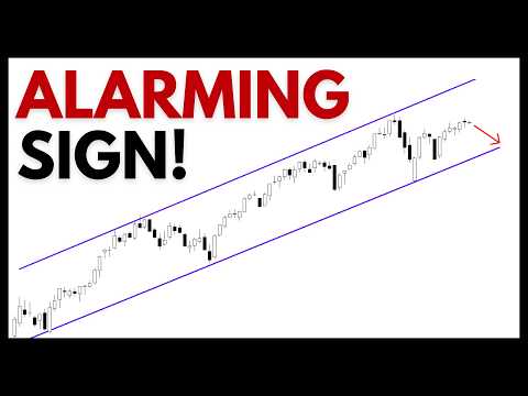 Technical Analysis of Stocks: SPY / QQQ / NVDA / TSLA / AMD / PLTR