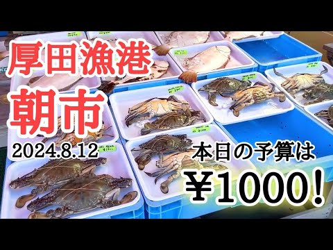 【北海道】厚田港朝市🐟¥1000持ってお買い物👍お盆期間中の営業はどーなってるの？！