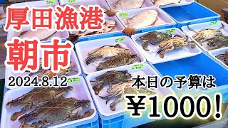 【北海道】厚田港朝市🐟¥1000持ってお買い物👍お盆期間中の営業はどーなってるの？！