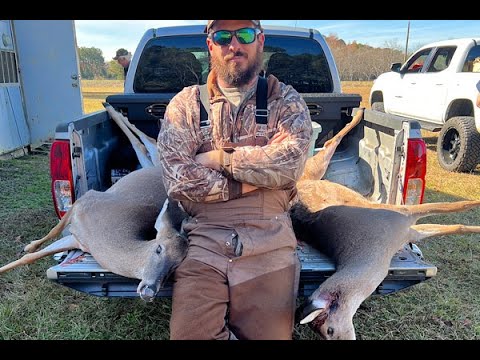 Deer Dog Drive 11-26-2022 Two Big Sisters Hit The Dirt!!!