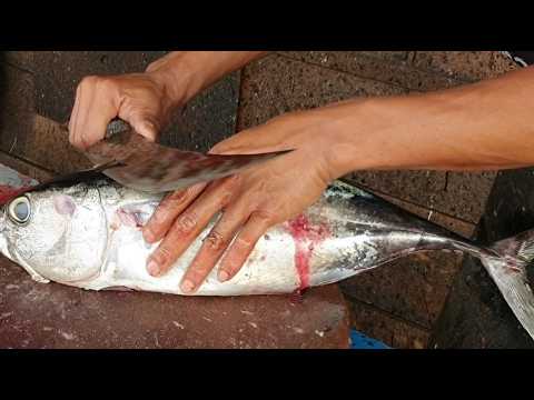 Amazing Technique Cutting Tuna Fish Quickly and Perfectly