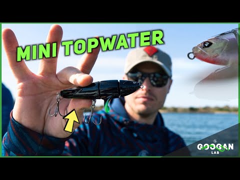 The BEST Mini TOPWATER LURE! ( Bass Fishing Tips )