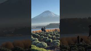 東京河口湖必訪賞富士山大石公園/OISHI PARK～看波波草綠轉紅 #fujisan #tokyo #紅葉 #河口湖 #富士五湖 #東京 #日本自由行