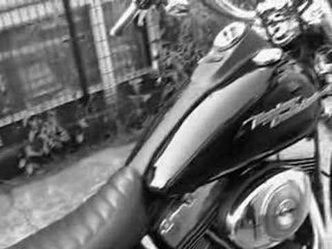 Minha Street Bob(Leandro F.)