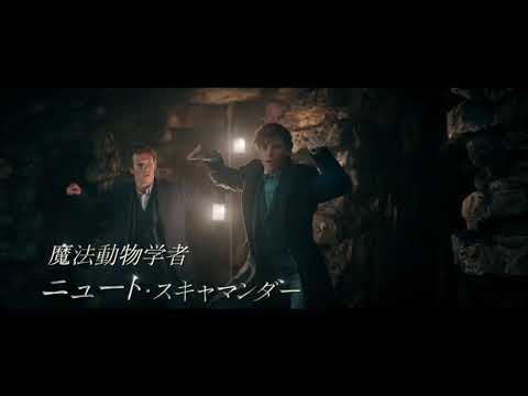 【4/8公開『ファンタスティック・ビーストとダンブルドアの秘密』15秒スポット（魔法動物編）】