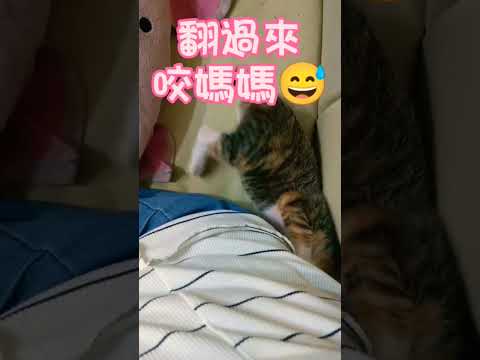 人家打獵，我打娘（我才一個月大，但是我不害怕）