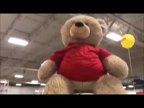 Teddy - Toys for Tots