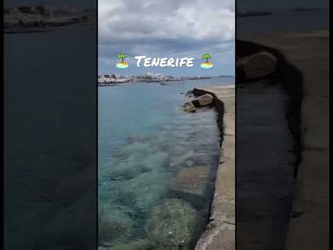 🏝️ Clear Water in Tenerife 🏝️ #tenerife #canaryislands