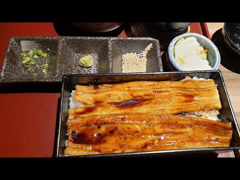 【米其林】東京直送星鰻#鰻魚飯 Taipei Taiwan