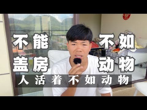 自己盖房自己住不应该是高级动物本能吗？