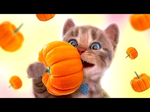 CUTE LITTLE KITTEN ADVENTURE - FUNNY KITTY & FRIENDS ADVENTUROUS JOURNEY CARTOON VIDEO FOR KIDS!