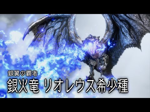 モンスターサンブレイク リオレウス希少種 攻略