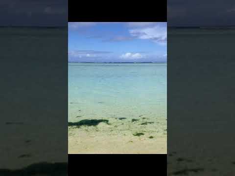 グアム　Playa de guam　 Guam beach　Bãi biển đảo Guam 괌 비치　关岛海滩　شاطئ غوام ឆ្នេរកោះ Guam