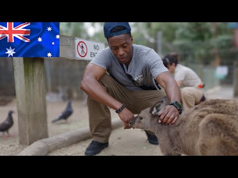 🇦🇺Exploring Sydney's Secret Wildlife Park 🦘