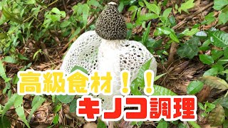 【キノコ】幻の高級食材、キヌガサタケの中華スープ