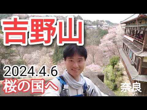 吉野山  2024🌸桜の国へ