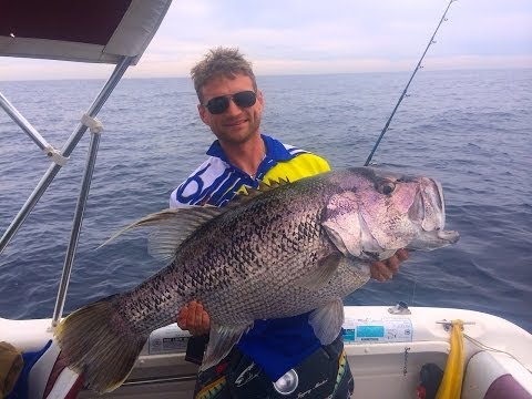 Big Dhu Fish - Offshore Rockingham