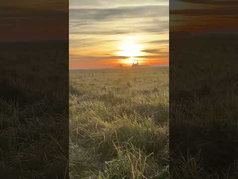 public land duck hunter set up 100 yards away