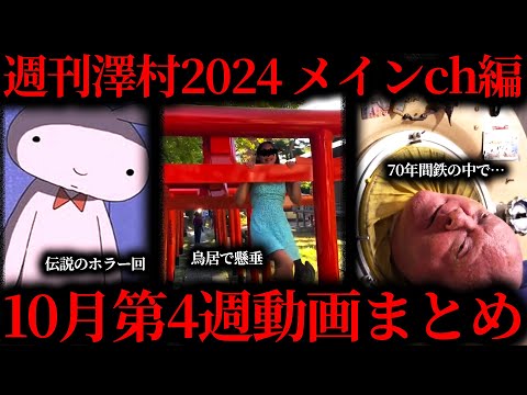 【週刊澤村2024メインch編】10月第4週たっくー動画まとめ【たっくー切り抜き】