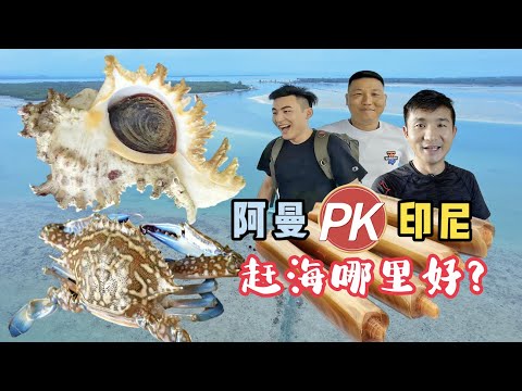 《印度尼西亚》第17天：3个男人竟然在赶海时做出这么龌龊的事情！#环球旅行 #旅行 #旅行攻略 #indonesia #印度尼西亚 #赶海