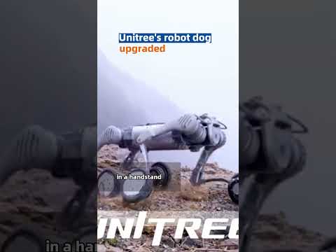 Unitree's robot dog can climb mountains, traverse water, and even carry people