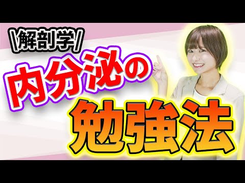 【医学生へ】イメージの湧きにくい内分泌について(内分泌,内分泌系,ホルモン,神経,神経系)