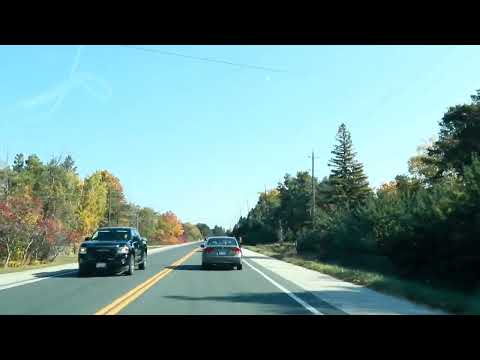 Fall Colours in Ontario, Canada #nature #amazing #beautiful #fallseason #fallfoliage #shortvideo