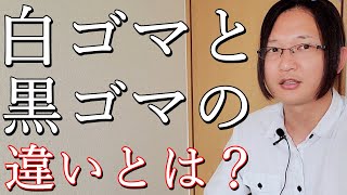 黒ゴマと白ゴマの違いを国際薬膳師が徹底解説