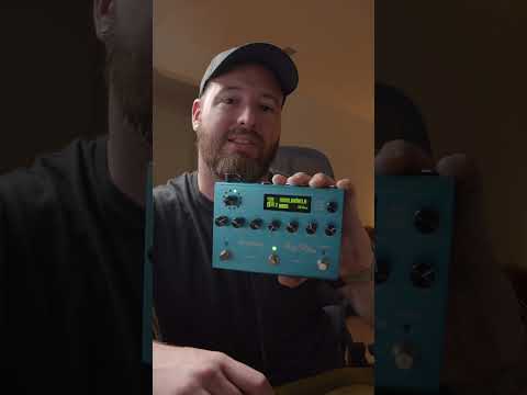 NEW Strymon BigSky MX