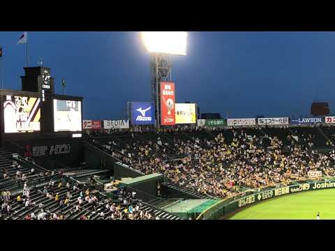 雨の中、阪神中谷応援歌2018.6.19