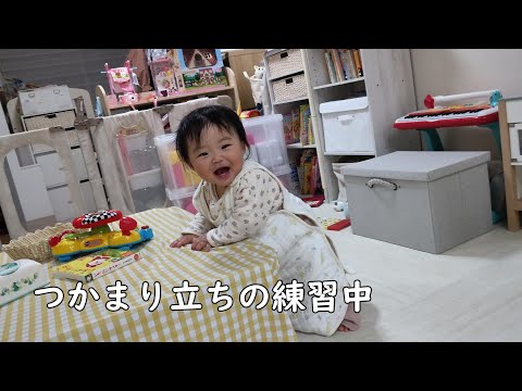 つかまり立ちを練習中の0歳児【300Days】