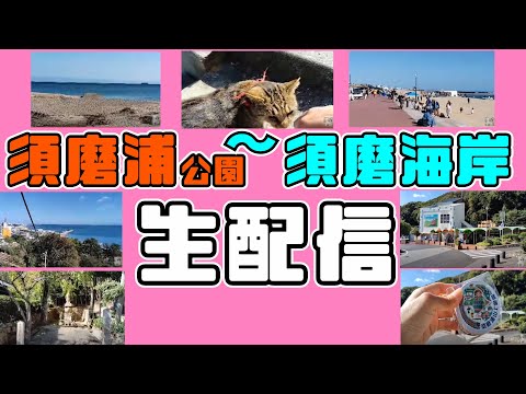 【生配信】須磨浦公園〜須磨海岸